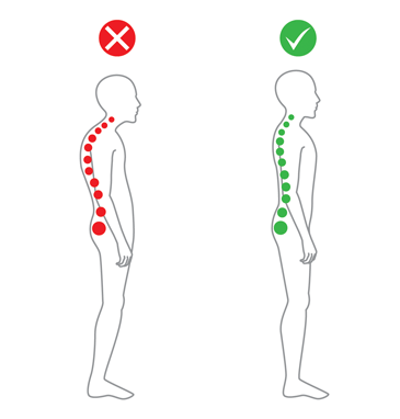 How To Put Your Spine Back in Perfect Alignment: Rediscover Pain-Free Living