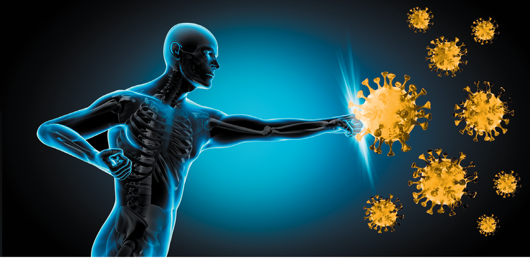 Are you looking for a way to support your immune system, reduce your viral/bacterial loads, and manage chronic illness symptoms?