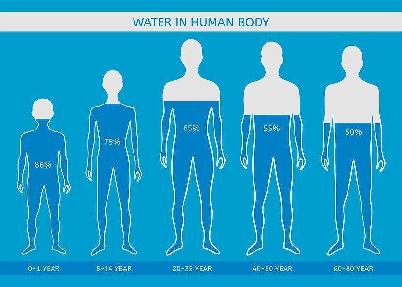 Water, often referred to as the elixir of life, plays a pivotal role in sustaining our health and vitality. Our bodies are composed of approximately 60% water