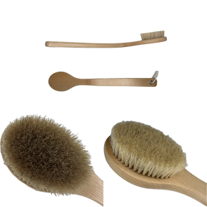 Rollga Body Brush: The 'Goldilocks' of Body Brushes for Perfect Self-Care