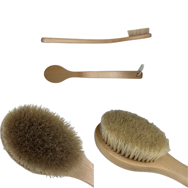 Rollga Body Brush: The 'Goldilocks' of Body Brushes for Perfect Self-Care