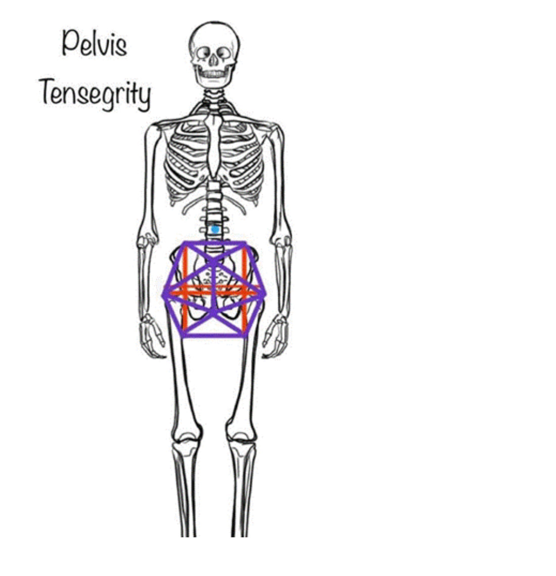 When your psoas becomes tight and weak, it can lead to a cascade of problems, including low back pain, hip pain, stiffness, and even trouble sleeping.
