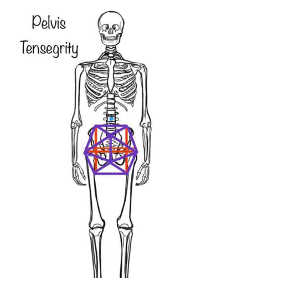 When your psoas becomes tight and weak, it can lead to a cascade of problems, including low back pain, hip pain, stiffness, and even trouble sleeping.
