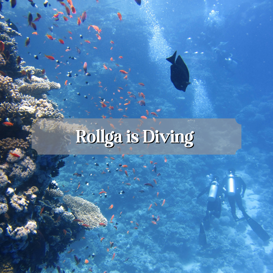 Rollga is Diving Recovery Tailored for Underwater Athletes