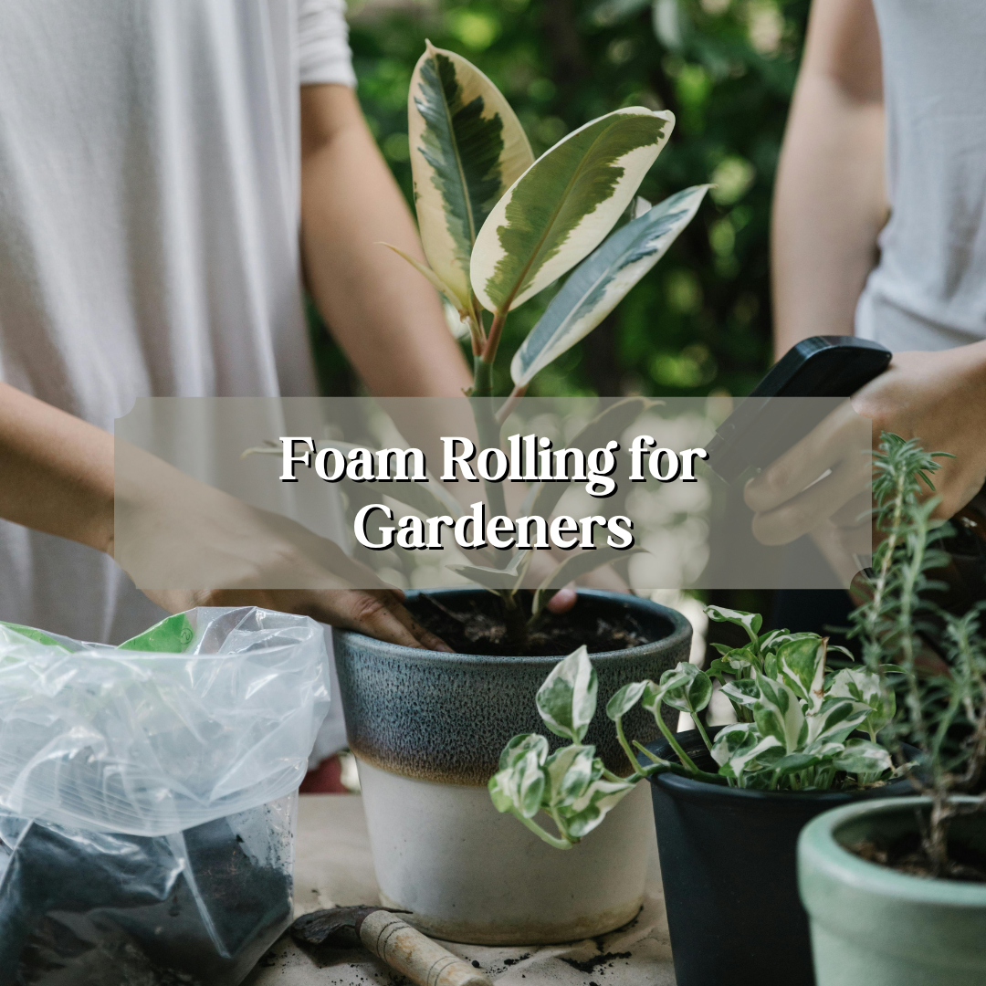 Foam Rolling for Gardeners: Protecting Your Back and Knees