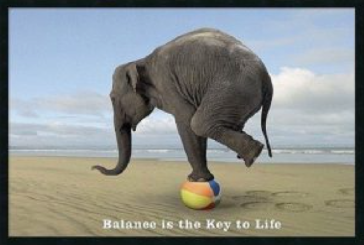 Balance is the key to life - restore your balance with Rollga exercises