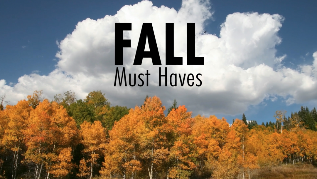 Looking for Fall and Holiday Must-Haves!
