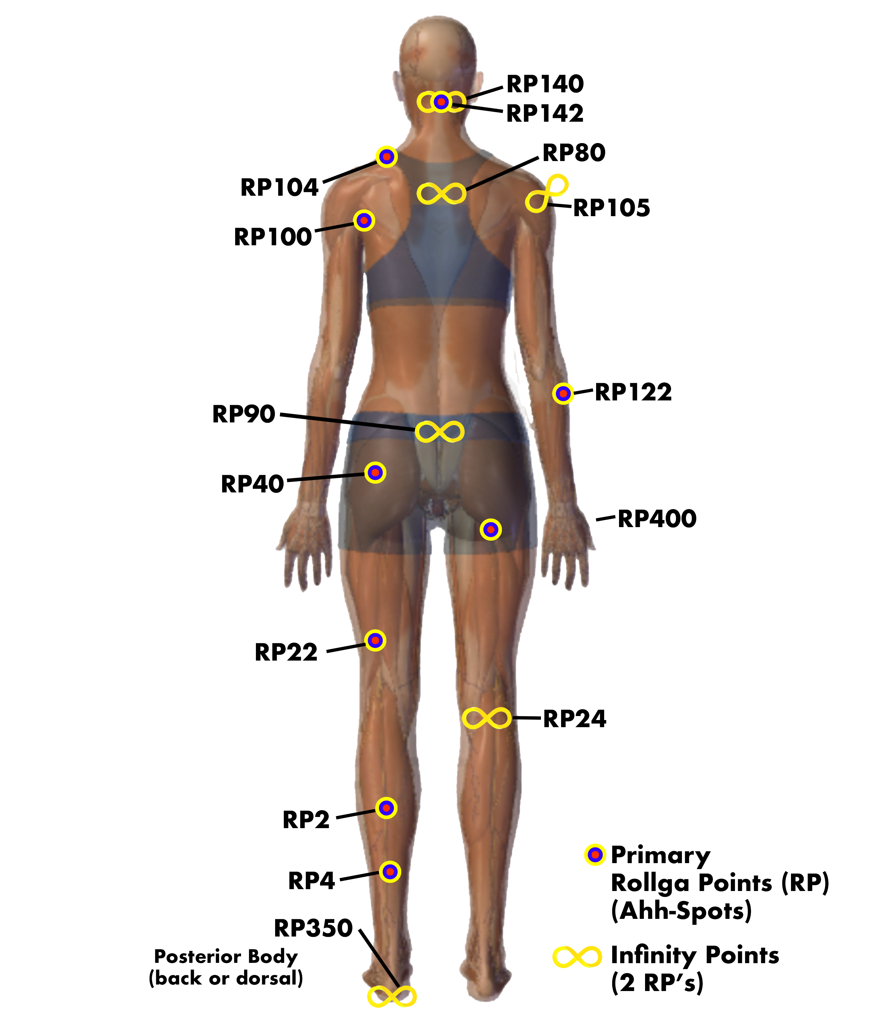 Rollga Point 2 for Sciatica nerve pain relief along with other pressure points on the body for the best in flexibility and mobility improvement