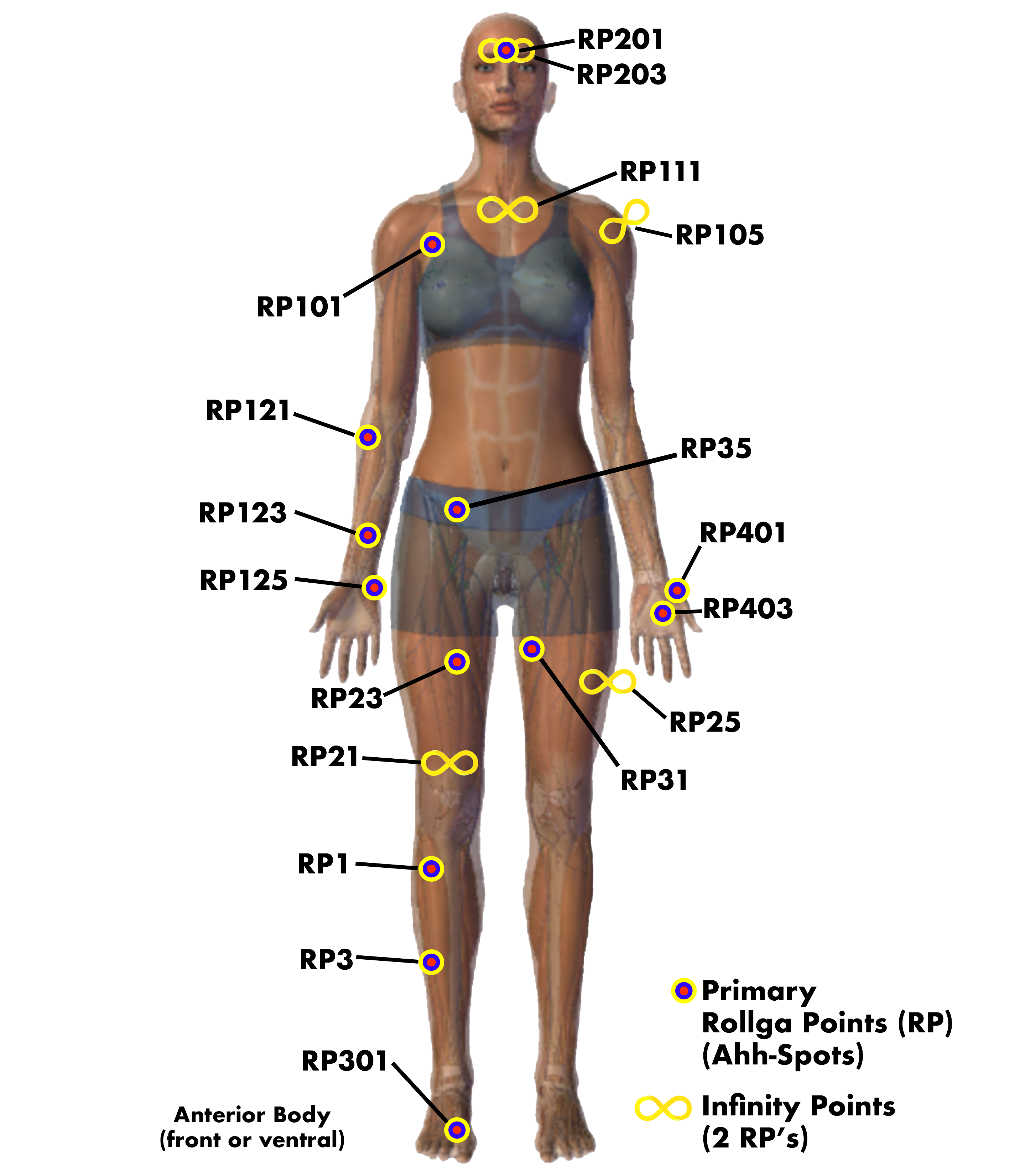 Key Pressure Points on the front of the body that is ideally targeted by the Rollga foam roller and other self-massage products using Pressure Point therapy, trigger point therapy and acupressure techniques