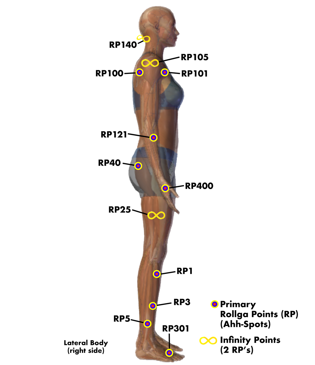 Rollga Pressure Points for Anxiety: Understanding the Key Areas of the Body for Anxiety Relief
