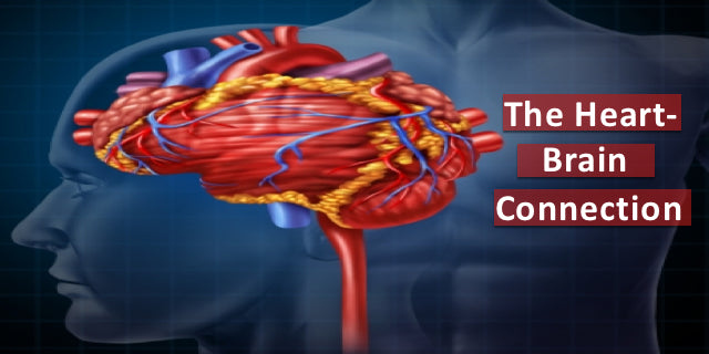 In the intricate web of our bodies, there exists a fascinating interplay between our fascia, heart, and brain. Rollga foam roller can help to make your fascia healthy